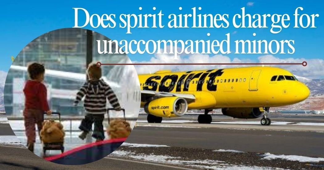 Spirit Airlines Unaccompanied Minor